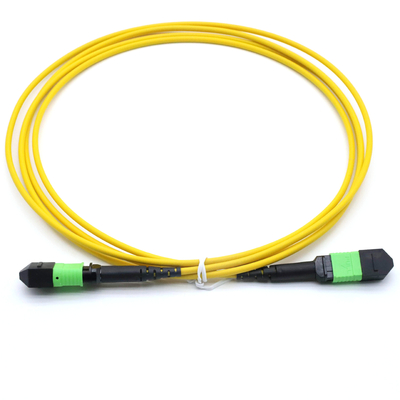 Femminile MPO 12 fibre tipo A Multimode MM OM3/OM4 MPO Patch Cord LSZH 50/125