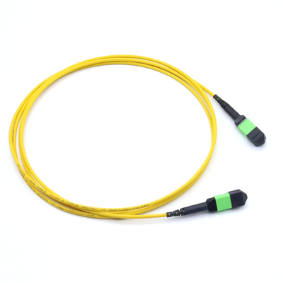 Femminile MPO 12 fibre tipo A Multimode MM OM3/OM4 MPO Patch Cord LSZH 50/125