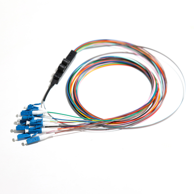 Cavo Pathc in fibra ottica multimediale 1310nm Blu FC UPC 12 Codino a nastro