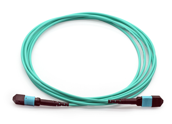 Multimodo OM4 Fibre Patch Cables LSZH MPO Trunk Cable 3m 5m Personalizzato